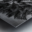 Whispers of Monochrome Palms Impression metal