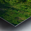 Blue Whispers of the Tropic Shore Impression metal