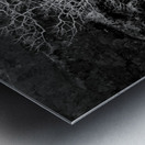 Majestic Solitude of a Bare Tree in Black and White Impression metal