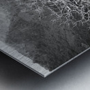 Tubarans Silent Tree Song Metal print