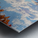 Keys To The City of Denver Metal print