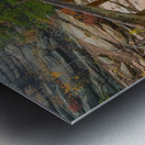 Rustic Wood Hiking Bridge Crossing Impression metal