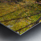 Reflections Time Metal print