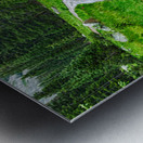 Wooden Forest Path Metal print