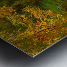 Beautiful Colorful Left Hand Creek Fall View Metal print