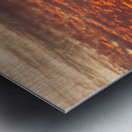 Morning Blaze Over Desert  Saguaro Giants in Arizona Metal print