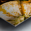 Natures Mosaic An Autumn Harvest Impression metal