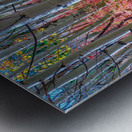 Mystic Red Autumns Fiery Carpet Aspen Grove in Fall Impression metal