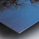 Celestial Sentinel A Supermoons Nocturnal Embrace Metal print