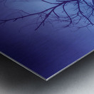 Purple Rain Over Boulder County Colorado Impression metal