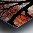 Colorado Sunset with Twin Peaks and Tree Silhouette Impression metal