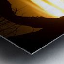 Golden Sunrise with Silhouetted Trees in Meadow Metal print