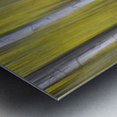 Aspen Light in Motion Fine Art Forest Impression metal