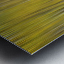 Somewhere Along The Road Dreaming Abstract Aspen Forest Fine Art Impression metal