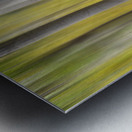 Autumn Aspen Dreamscape Abstract Landscape Impression metal