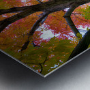 Season Of Colorful Magic Metal print