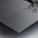 Boulder Colorado Flatirons Black White Metal print