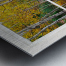 Happy Forest  Autumn Season Rustic Window View Impression metal