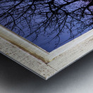 Colorful Tree White Farm House Window Portrai Impression metal