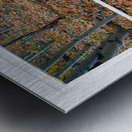 Mother Nature Whitewash Picture Window View Metal print