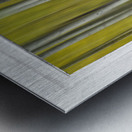 Surreal Dreamy Aspen Forest White Rustic Window Metal print