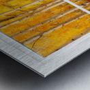 2 Horses Aspen Trees Whitewash Picture Window Metal print