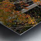 autumn seasons change Metal print