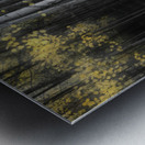 Aspen Tree Grove Into Darkness Metal print