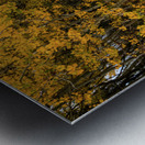 Colorful Autumn Hiking Path Metal print