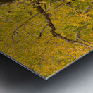 Cottonwood Tree Fall Foliage Impression metal