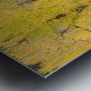 cottonwood autumn colors Impression metal