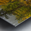 Downstream St Vrain Impression metal