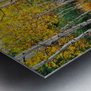 Happy Place In Woods Metal print