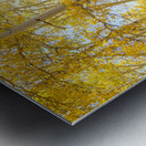 Golden Sunshine Autumn Day Impression metal