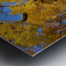  Magical Mystery Tour  Impression metal