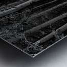 Shades Of A Forest Impression metal