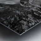 Colorado Ouzel Falls Black White Metal print