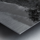 Golden Hand Sirao Metal print