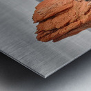 Garden of the Gods with Selective Color Impression metal