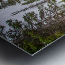 Colorado Rocky Mountain Flowing Stream Metal print