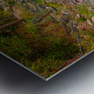 Golden Fishing Stream Metal print