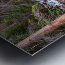 Rocky Mountains Stream Scenic Landscape Metal print