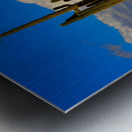  Amazing Giant Saguaro Cactus Metal print