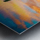 Arizona Life Metal print