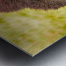 Bison Headshot Profile a Metal print