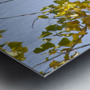 Eagle Wave Impression metal