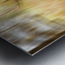 Bull Elk Forest Dreaming Metal print