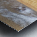 Elk Heard Colorado Foothills Plains Panorama Impression metal