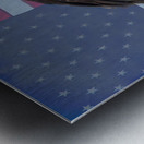 American Freedom Metal print