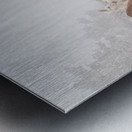 Horses Winter Snow Fog Metal print